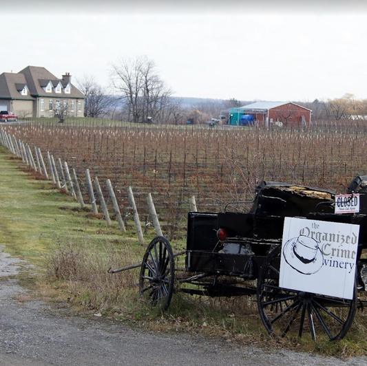 The Organized Crime Winery
